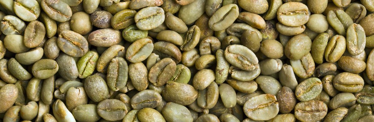 Green Coffee