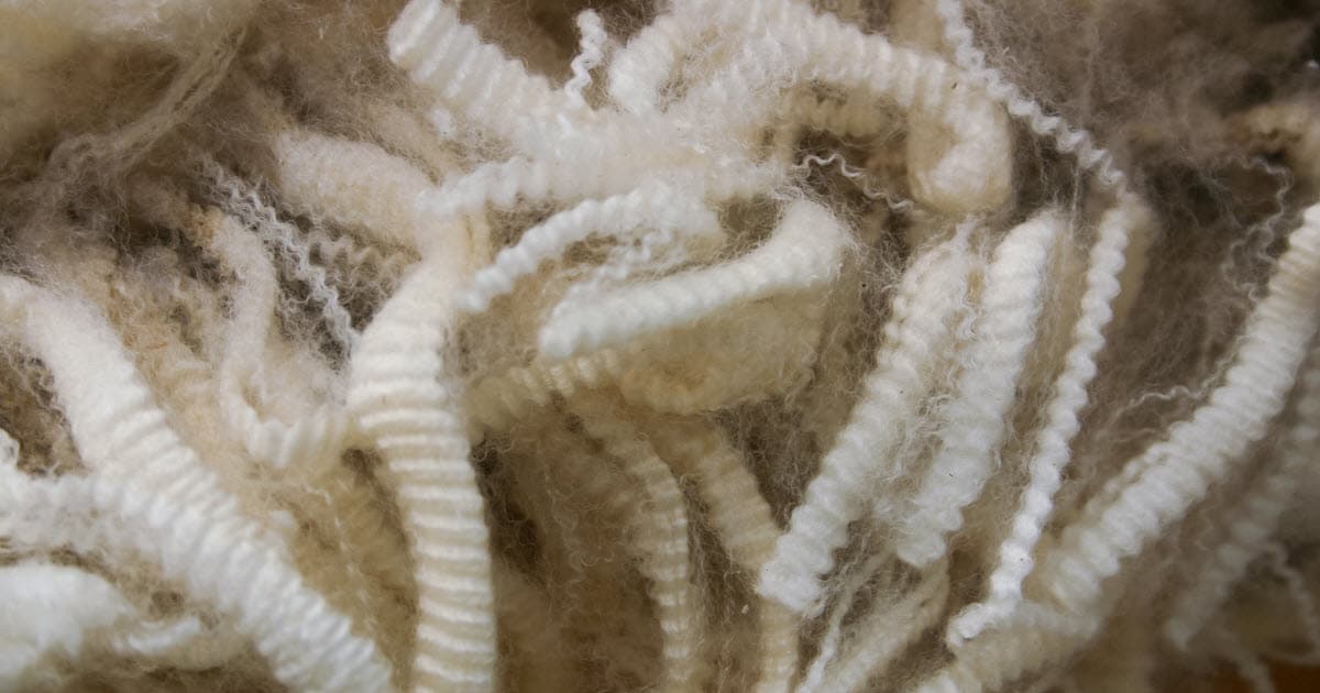 Merino Wool